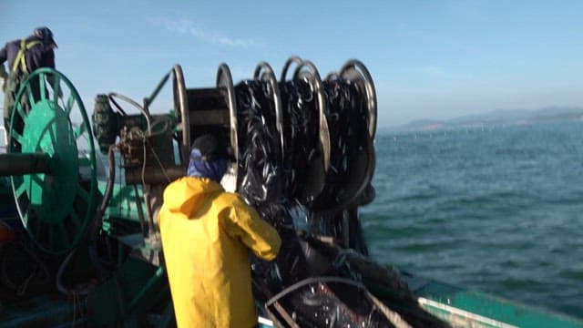 Fisherman at work sorting catch on boat