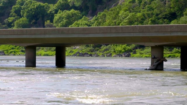 Bridge over a flowing river with greenery