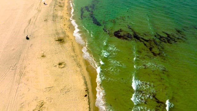 Aerial view of a beach with waves and people