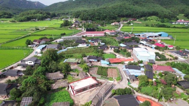 Rural village surrounded by green farmlands
