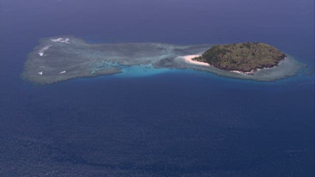 View of a Secluded Tropical Island