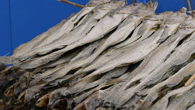 Neatly arranged pile of dried pollack