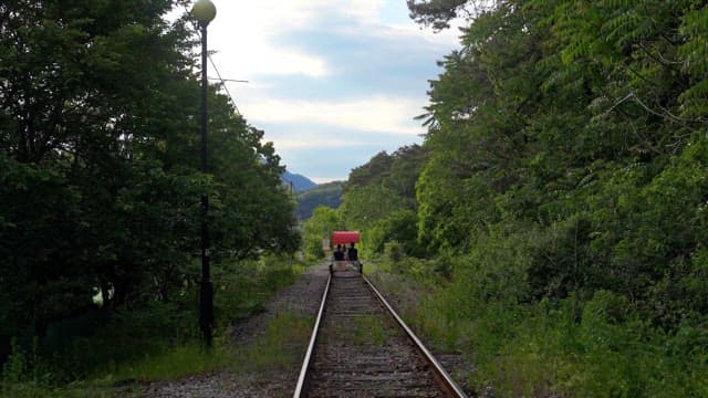 People riding a rail bike through lush forest