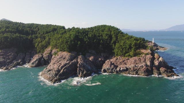 Rocky coastline with lush green forest