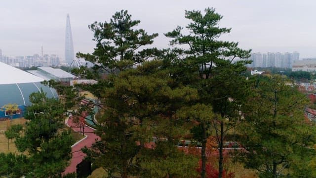 Urban Park and Skyline