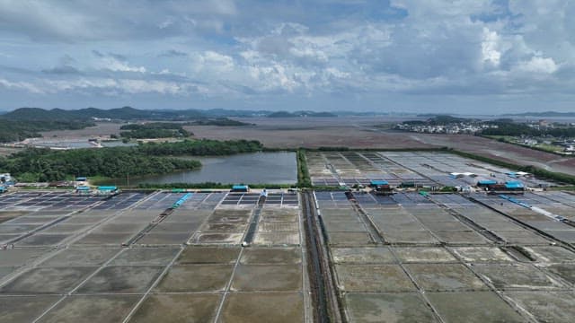 Landscape of Salt Pan in Coastal Village on a Sunny Day