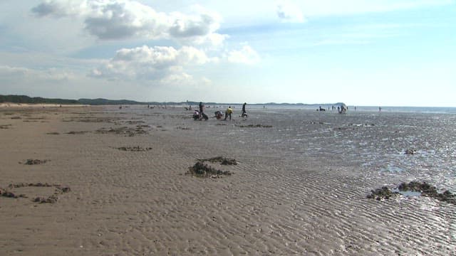 People Visiting a Mudflat on a Sunny day