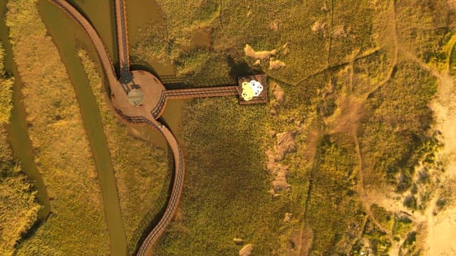 Aerial view of a grassland with long boardwalk