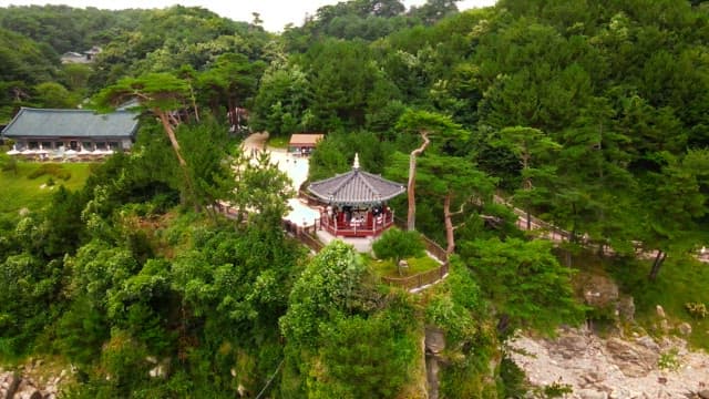 Traditional Korean temple surrounded by lush forest