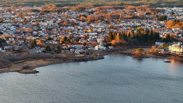 Cityscape with a Mount Fuji backdrop