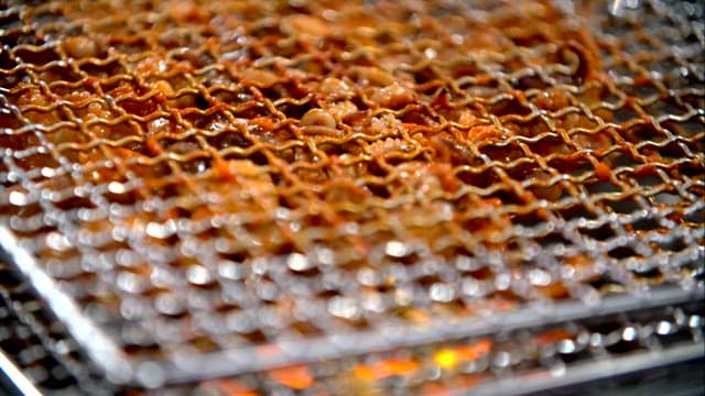 Grilled webfoot octopus grilled on the grill