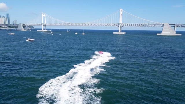 Water sports enjoyed on a sunny day near a coastal city