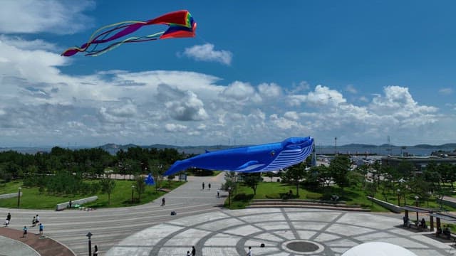 Kiteflying in a Coastal Park on a Sunny Day
