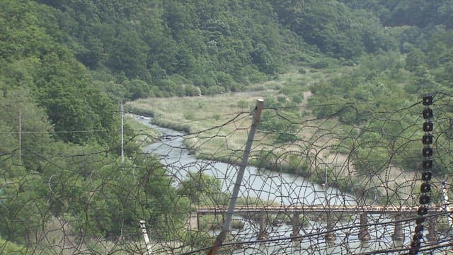 Lush and Green Space in the Demilitarized Zone in Korea