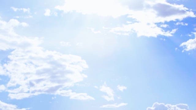 Cheetahs in their Natural Habitat, Grassland