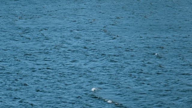 Tranquil Water Surface under Daylight