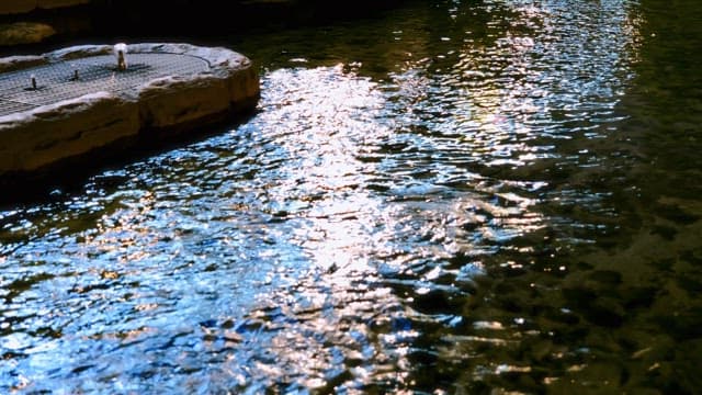 light reflecting on a flowing river
