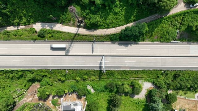 Quiet Highway Between Lush Greenery