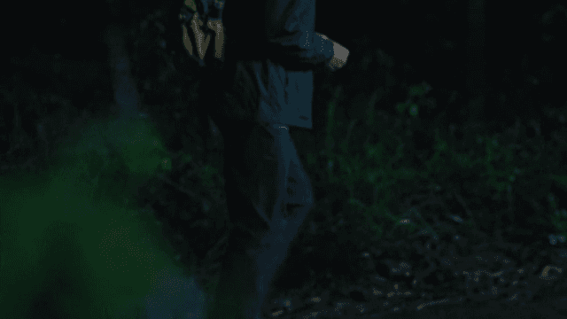 Person Walking in Forest at Night