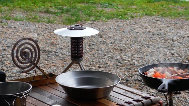 Freshly cooked bacon vegetable stir-fry plated on a camping table