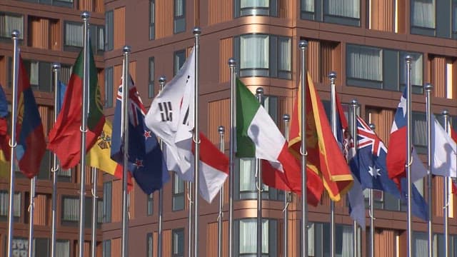 Various National Flags Fluttering Outside Building