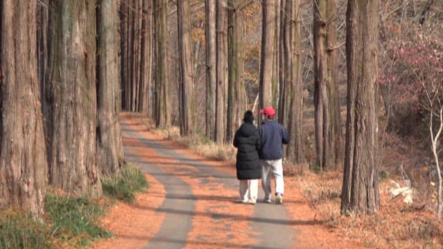 Couple taking a walk in a tree-lined path