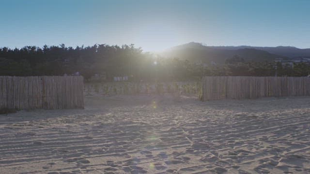 Person walking on a sandy field with a forest view on a sunny day