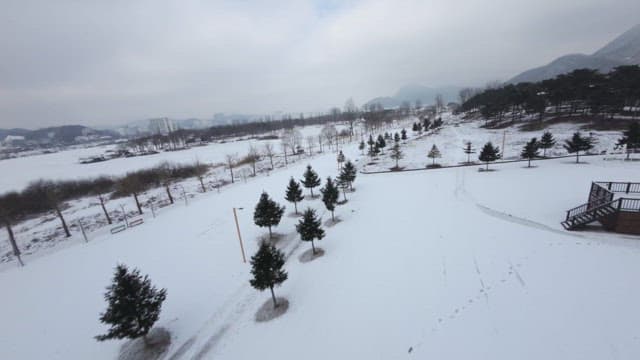 Snow-covered park with trees and paths