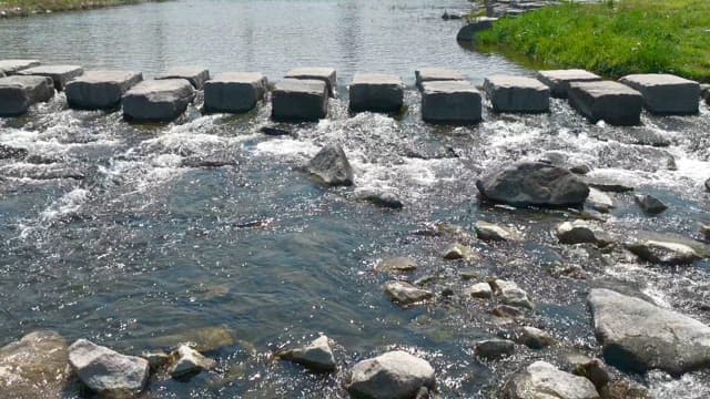 River flowing past a stepping stone bridge