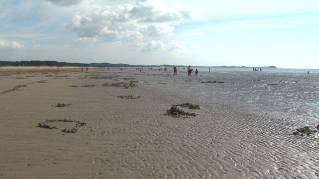 People Visiting a Mudflat on a Sunny day