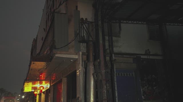 Monkeys climbing a building facade at night