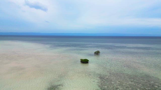 Calm sea with distant horizon