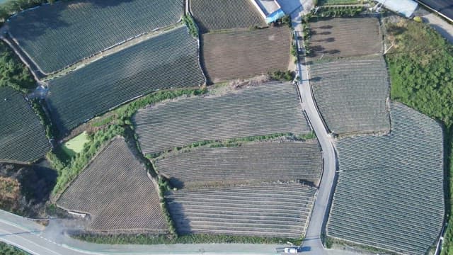 Coastal Countryside with Agricultural Fields