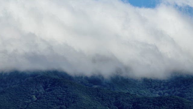 Clouds covering a lush green mountain