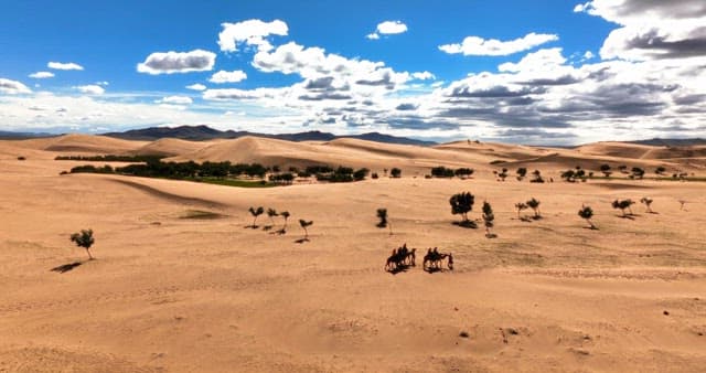 Camels and travelers in a vast desert