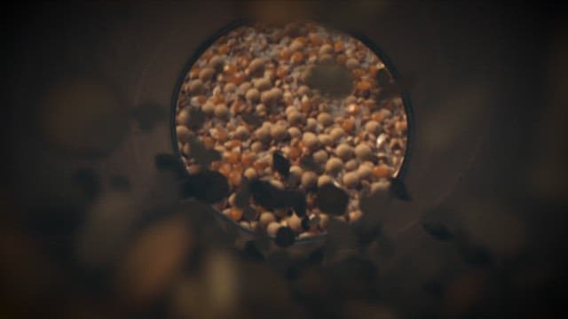 Different types of grains falling from the tunnel