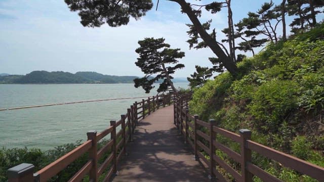 Peaceful Walkway Along a Waterside Landscape