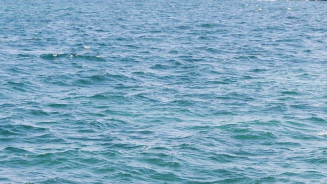 Serene Ocean Waves on a Sunny Day