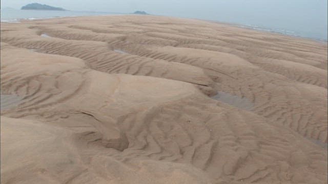 Quiet beach with mudflats exposed during low tide