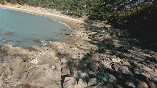 Tranquil beach with gentle waves