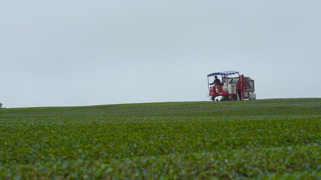 Tractor Harvesting Crops in Green Field