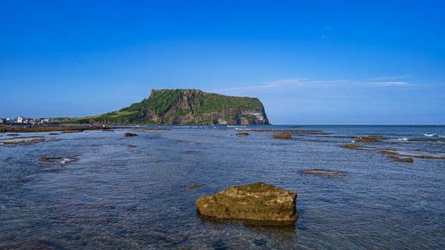 Seongsan Ilchulbong with Lush Greenery and Serene Sea on a Sunny Day
