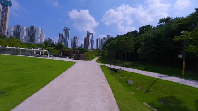 Park Pathway Amidst Skyscrapers on Sunny Day
