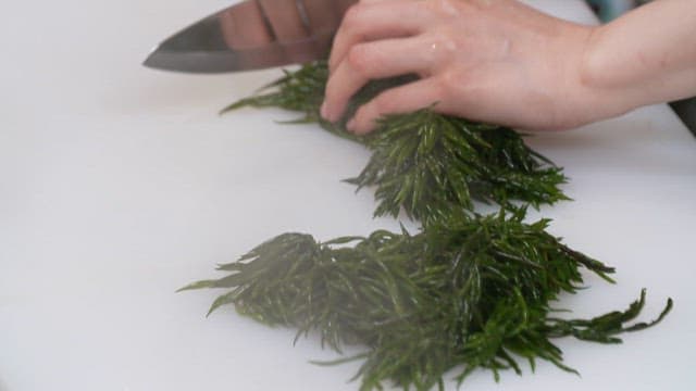 Slicing fresh seaweed on a white cutting board in an indoor kitchen