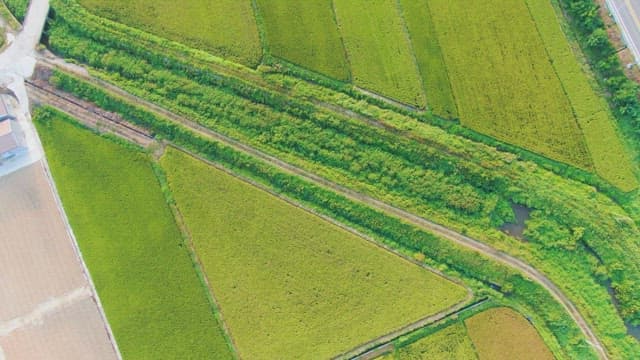View of green fields and roads