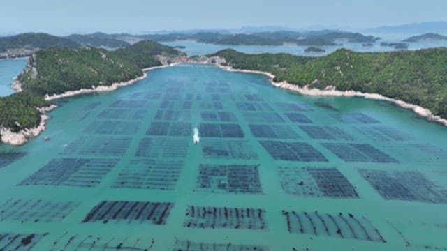 Fishing boats passing near coastal fish farms on a sunny day