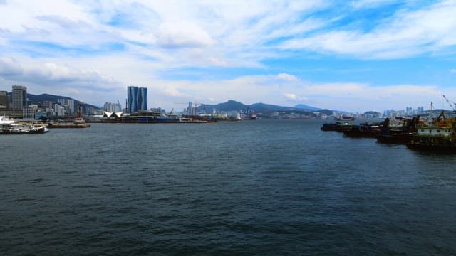 Panoramic View of a Busy Harbor Cityscape
