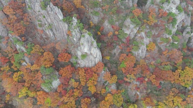 Colorful autumn mountain with rocky cliffs
