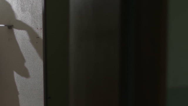 Silhouette of a Bullied Student