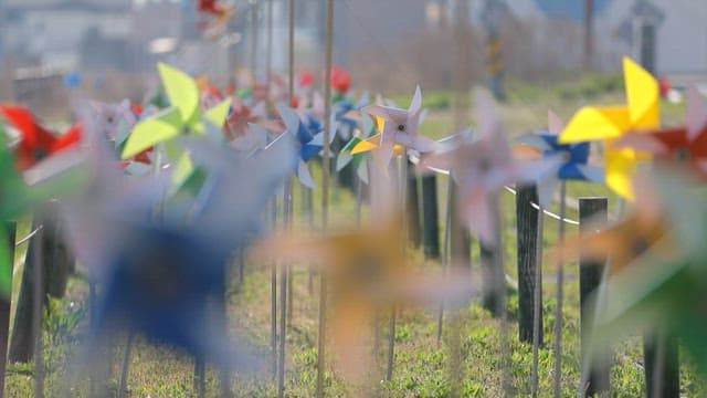 Colorful pinwheels spinning on the grass